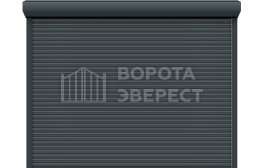 Роллетные ворота Алютех Trend 2200×2400 ВЭ-1384